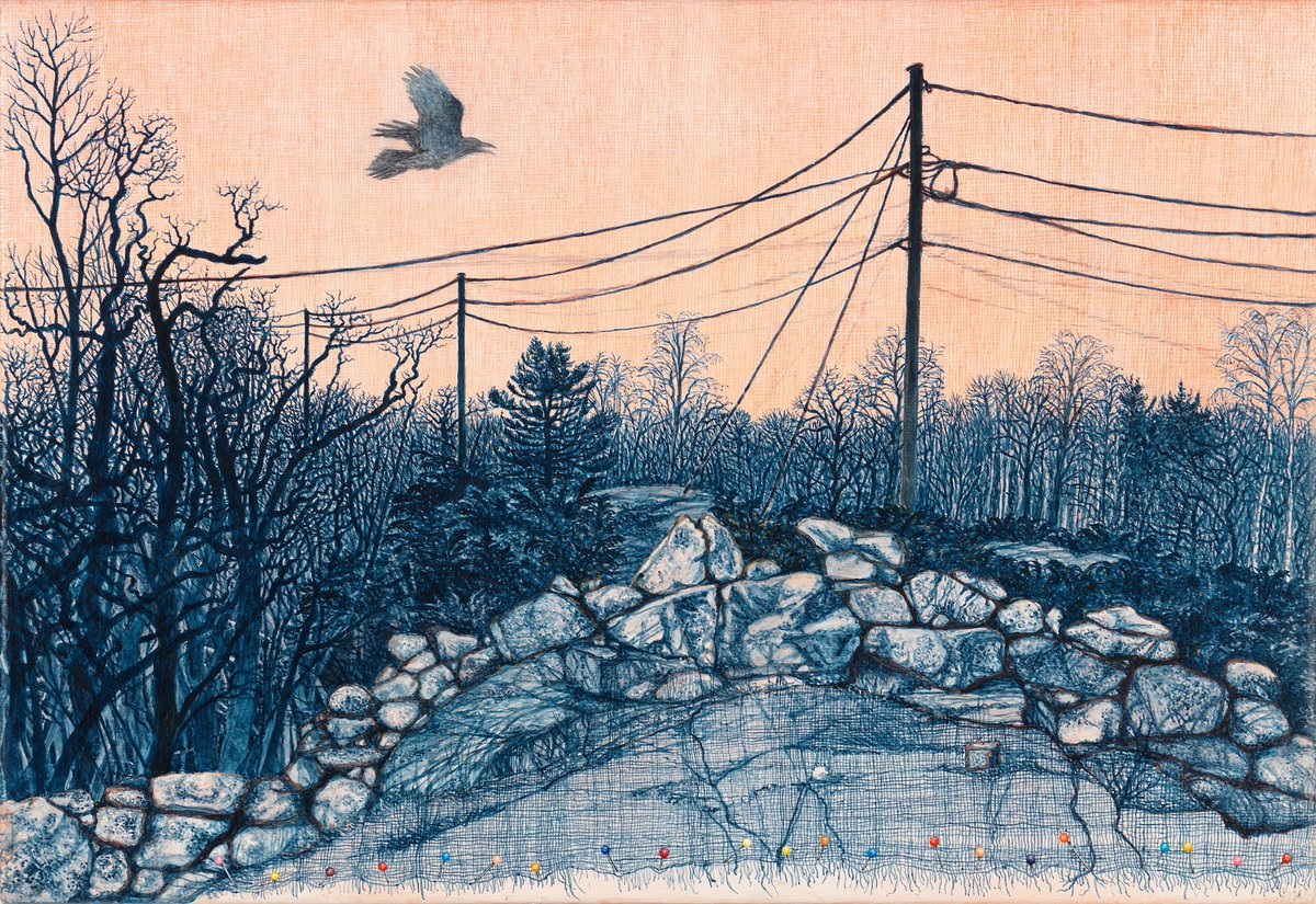 Discovering Finland tweet media