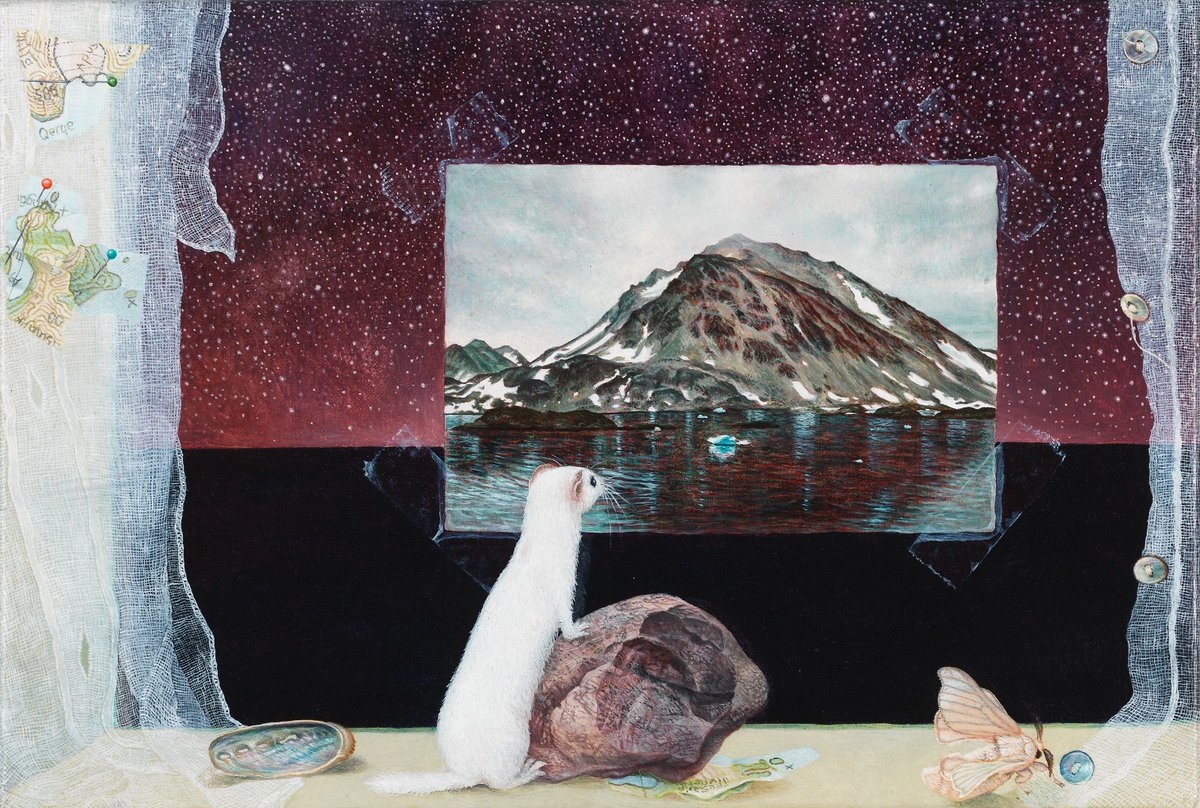 Discovering Finland tweet media