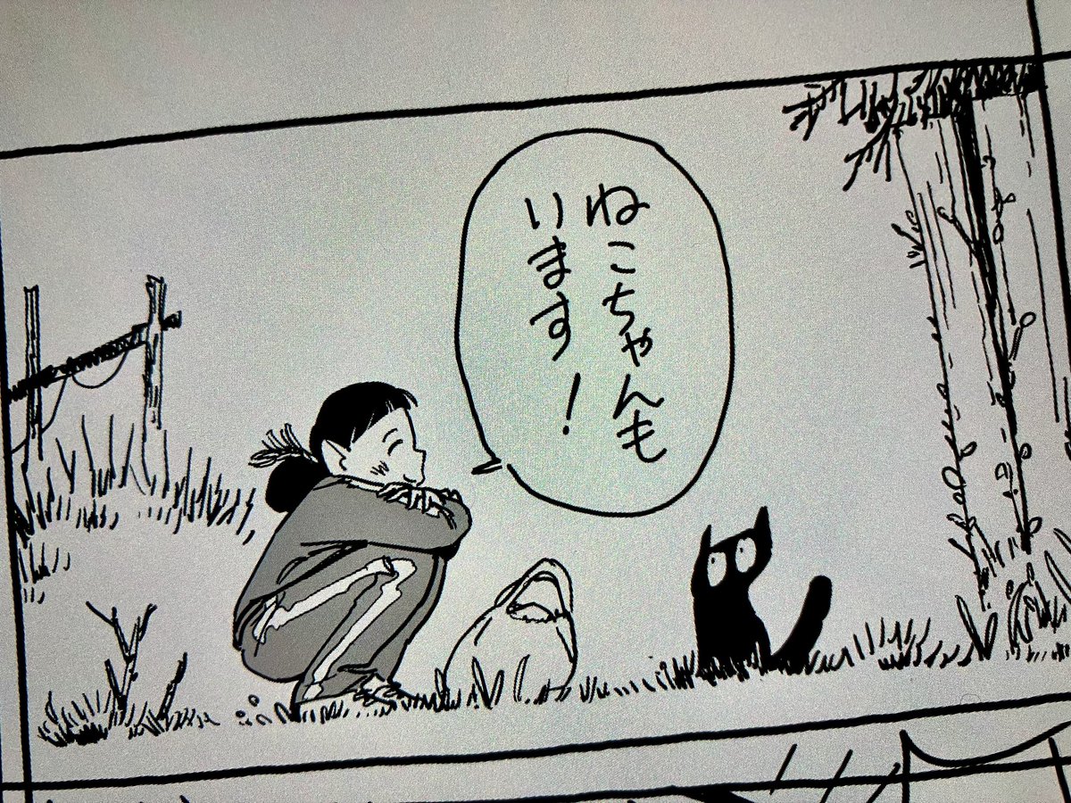 ねこちゃんもいます