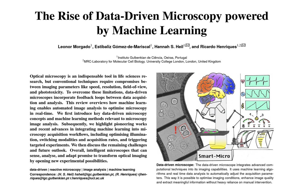HenriquesLab's tweet image. 🚨🔬🤖 New #preprint from us on #SmartMicroscopy. A review by @ALeonorMorgado, @gomez_mariscal and @Hannah_SuperRes. #Microscopy meets #MachineLearning agents. Come check it out =)
arxiv.org/abs/2401.05282