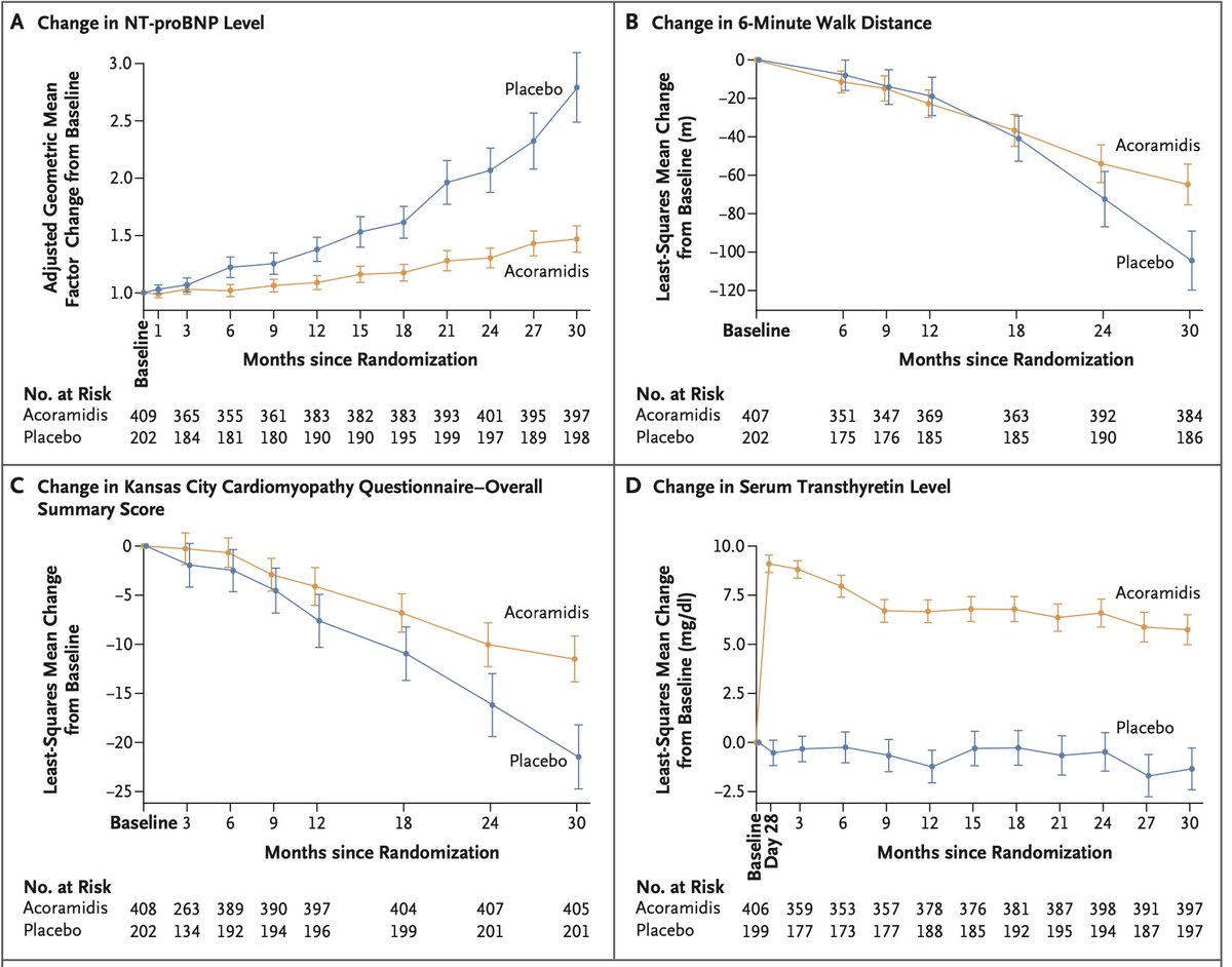 #HFpEF の鑑別で重要なATTRアミロイド心筋症に対する #acoramidis (tafamidisよりTTR四量体を安定化)🔥

死亡、心血管関連入院、NTproBNP、6分間歩行距離を含む主要アウトカムをプラセボよりも有意に改善！有害事象は両群で同様

tafamidisからの切替も全体で17％(試験開始1年は併用無)

#ATTRibute_CM
