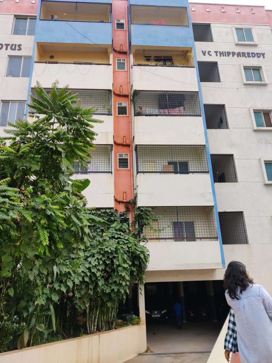 h_asefa's tweet photo. NO BROKERAGE

Amenities 

Gated society with security 
Fully functional swimming pool 
Fully function gym and access to huge terrace 
Rooms have a shared washroom 
Fully set up kitchen 
Lift, 24*7 power backup, no water issue ( 2/n) https://t.co/vZawnoqDs6