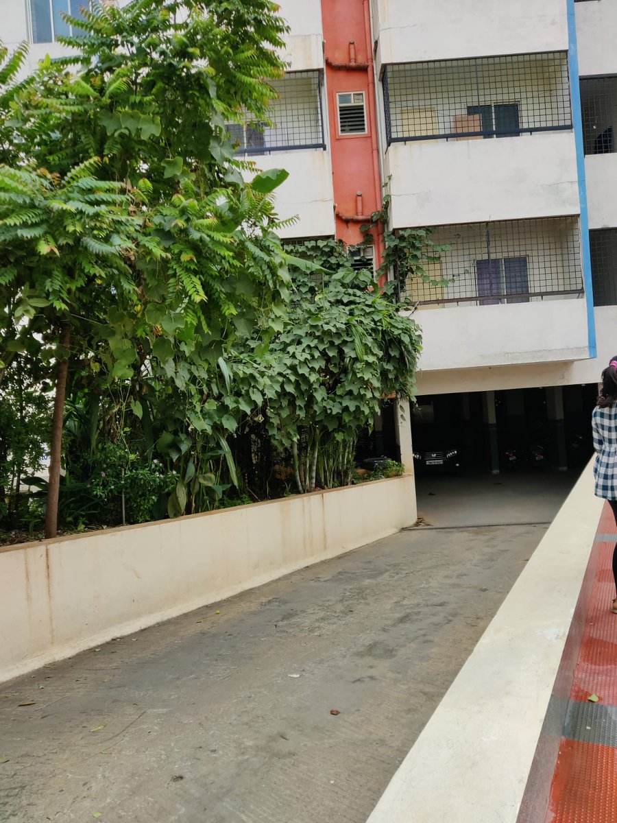 h_asefa's tweet photo. NO BROKERAGE

Amenities 

Gated society with security 
Fully functional swimming pool 
Fully function gym and access to huge terrace 
Rooms have a shared washroom 
Fully set up kitchen 
Lift, 24*7 power backup, no water issue ( 2/n) https://t.co/vZawnoqDs6
