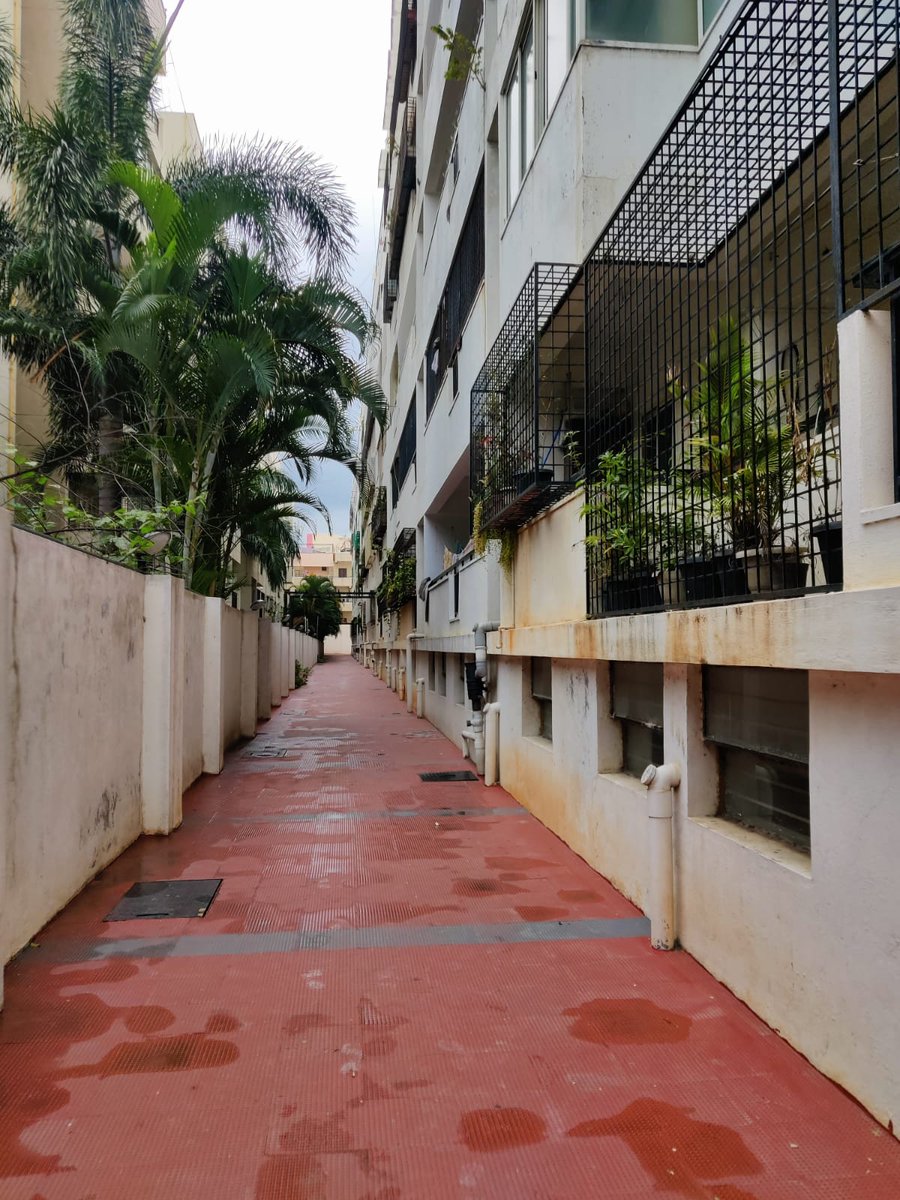 h_asefa's tweet photo. NO BROKERAGE

Amenities 

Gated society with security 
Fully functional swimming pool 
Fully function gym and access to huge terrace 
Rooms have a shared washroom 
Fully set up kitchen 
Lift, 24*7 power backup, no water issue ( 2/n) https://t.co/vZawnoqDs6
