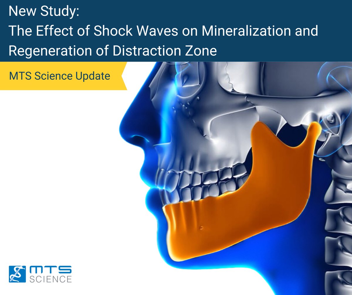 MTSSparkWave's tweet photo. A recent study on #SparkWave Therapy in an osteoporotic animal model has shown positive effect on bone microstructure by stimulating the formation of bone tissue and new blood vessels: 
MTS Science (https://t.co/MD8qblmEym)
#osteoporosis #boneregeneration #shockwavetherapy https://t.co/k8yo743SIa