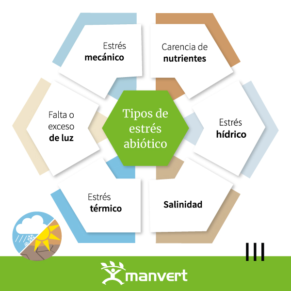 manvert_'s tweet image. ¡Nuevo artículo en el blog! Se estima que el #estrésabiótico causa la mitad de las pérdidas agrarias a nivel mundial.
En este artículo te contamos qué es el estrés abiótico y cómo combatirlo 📲
bit.ly/48qy8MH
#agriculturasostenible #manvertsolutions