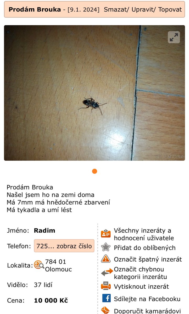ebenhreben's tweet photo. Pane Samsa? Pane SAMSA?!!???! https://t.co/YbqYtAluTu
