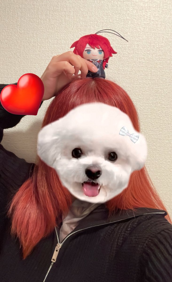 cw73225's tweet photo. 髪を染めましたはっぴーです https://t.co/0Dk2GuzJoC