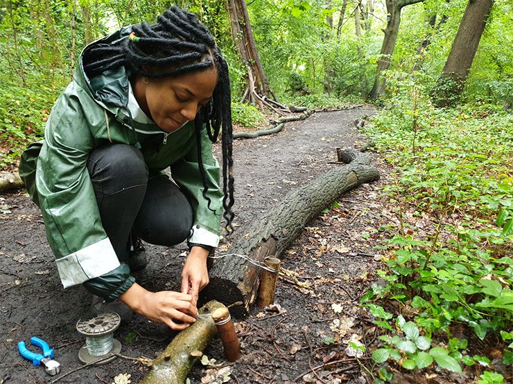The National Lottery Heritage Fund London & South (@heritagefundl_s) on Twitter photo Starting on @WildLondon's Keeping it Wild project on a paid traineeship, <a href="/Chan_Naturelle/">ChantelleNaturelle 🌕💖✨</a> is soaring in a career in wildlife conservation🍃 due to her incredible work, she continues to work at London Wildlife Trust, as well as racking up achievement with TV presenting! (5/5) Starting on @WildLondon's Keeping it Wild project on a paid traineeship, <a href="/Chan_Naturelle/">ChantelleNaturelle 🌕💖✨</a> is soaring in a career in wildlife conservation🍃 due to her incredible work, she continues to work at London Wildlife Trust, as well as racking up achievement with TV presenting! (5/5)