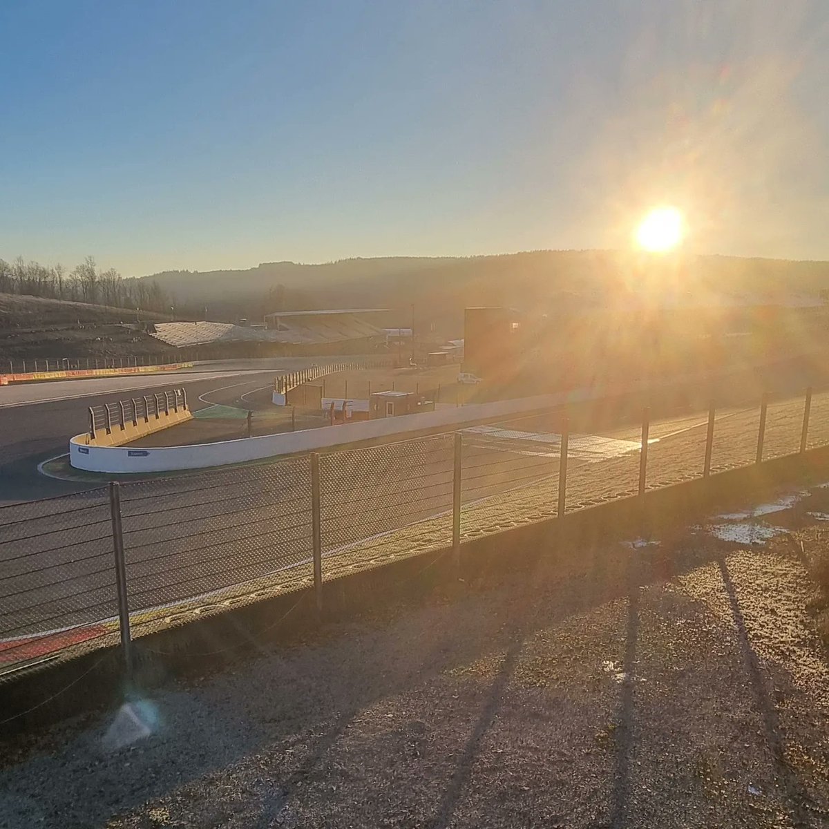 thequokkagroup tweet media