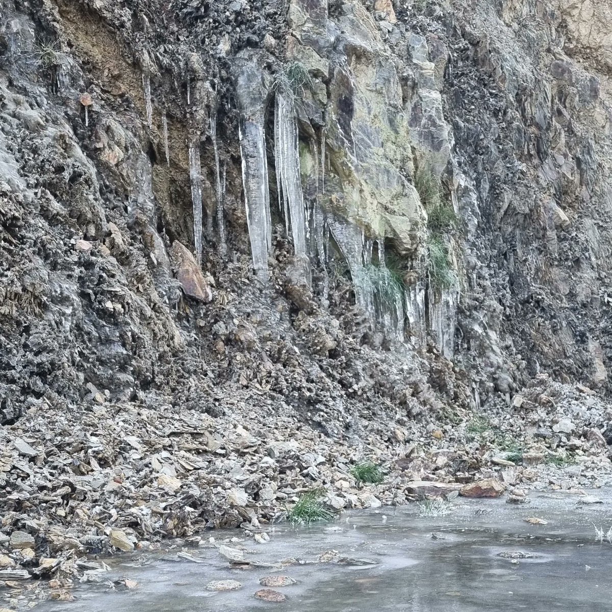 thequokkagroup tweet media