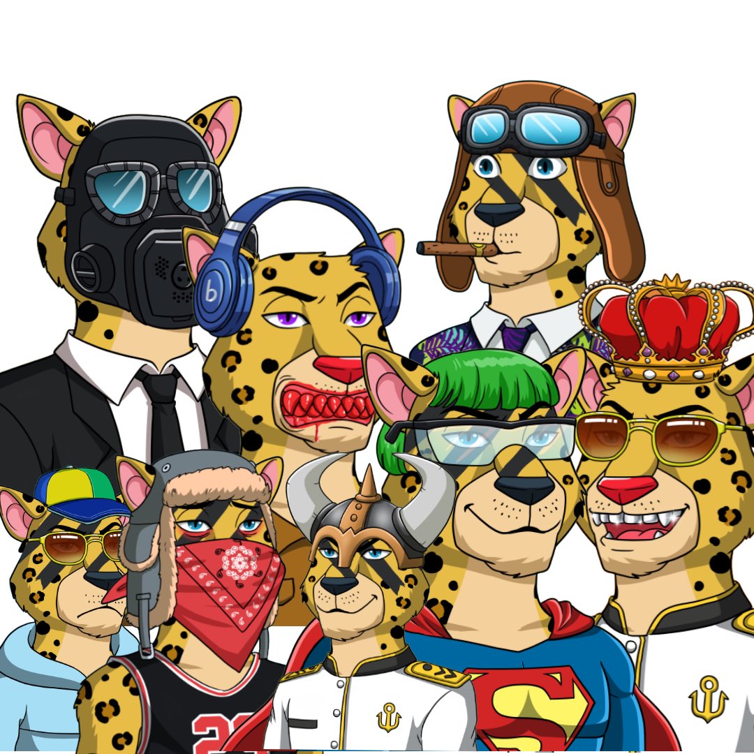 Leopard Camp NFT tweet media