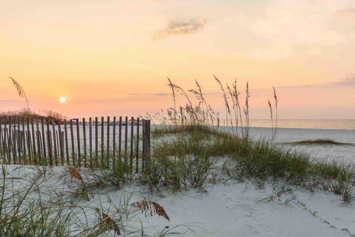 NewHorizonInsur's tweet photo. Winter at the beach… Yes it’s a thing!

#insurance #orangebeach #gulfshores #gulfcoast 

https://t.co/GJ6kZN2r61 https://t.co/92CAcni2Ri