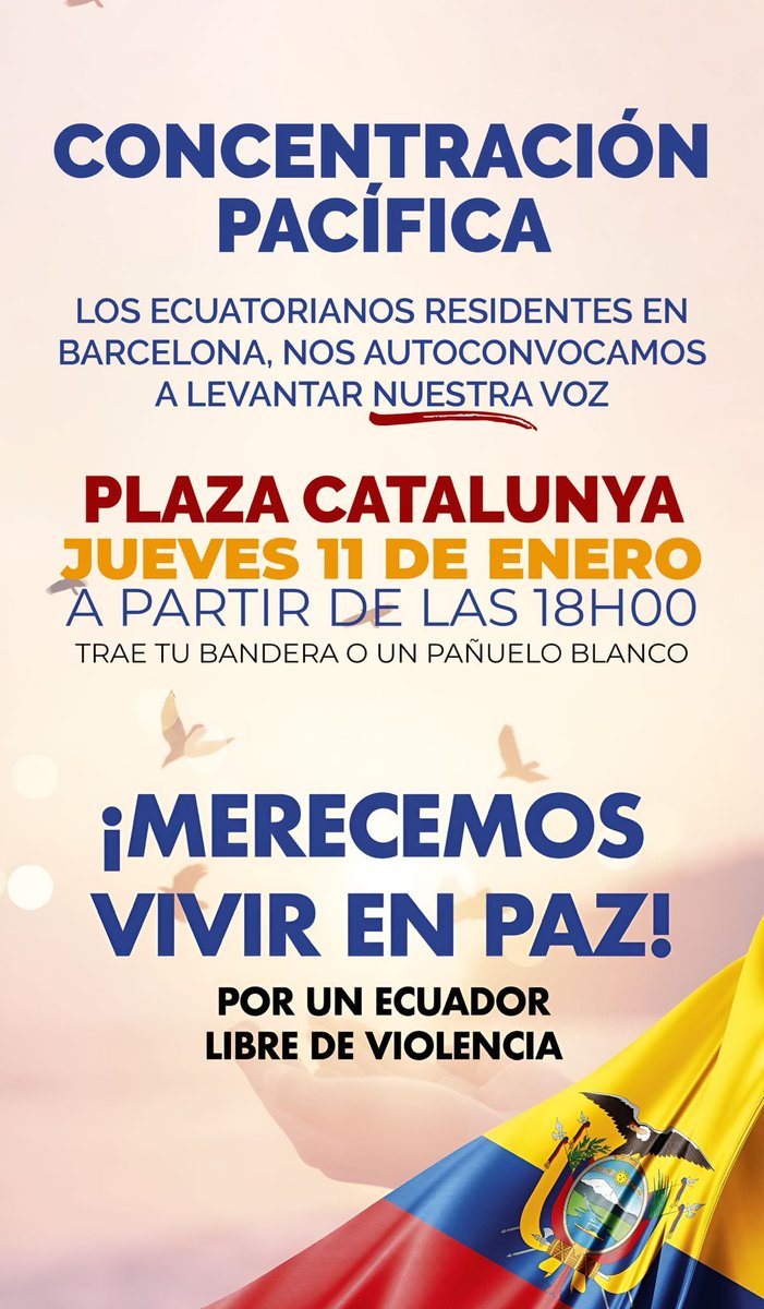 Ángeles Llive Cruz tweet media