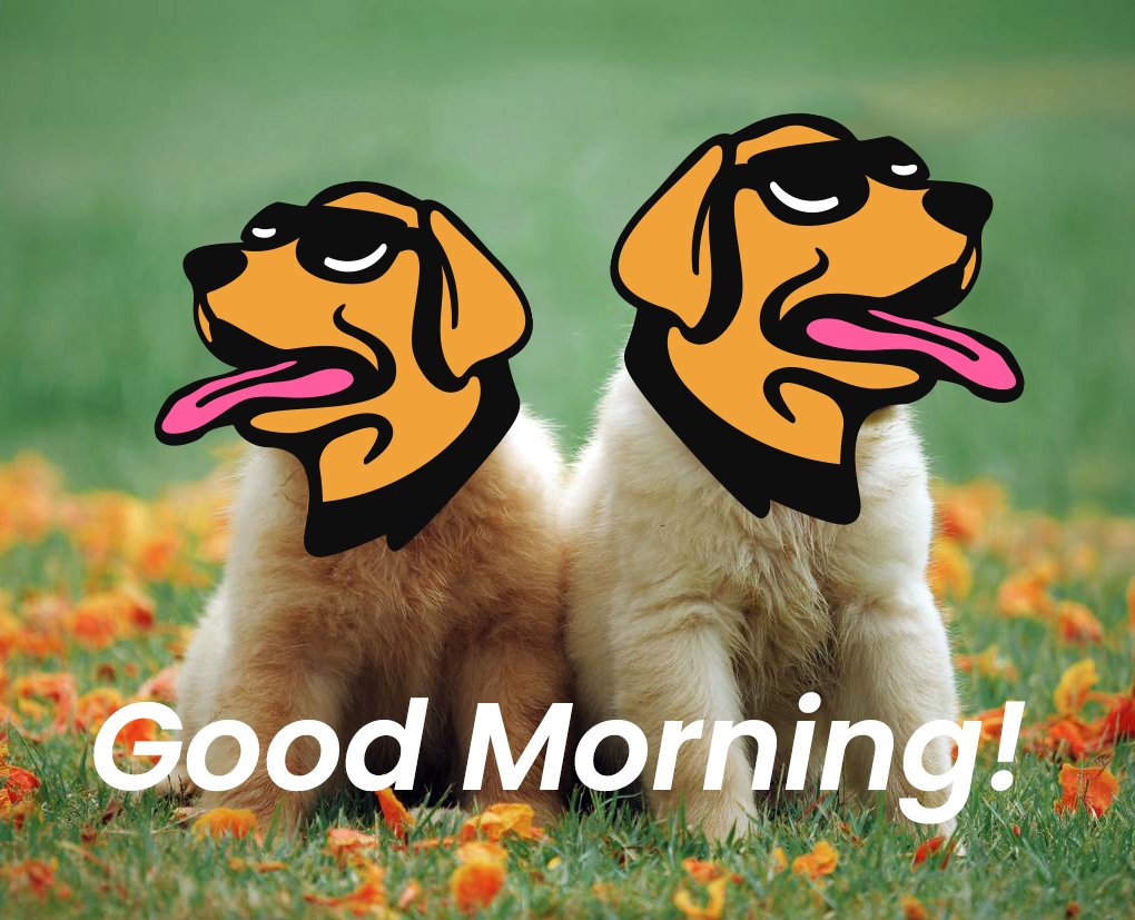 🐕 GM Dogs! Don't forget to spread the word about the #Airdrop for the old $WOOF holders! 🪂