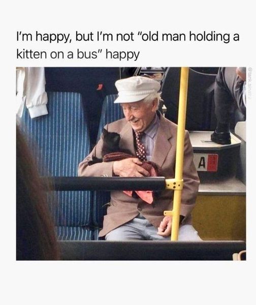 WholesomeMeme's tweet photo. https://t.co/DPHvKYjq4L