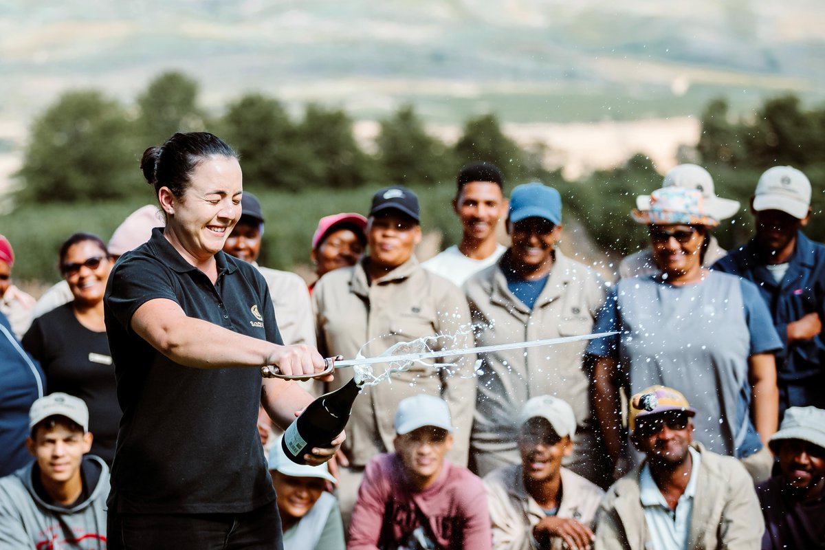 Saronsberg Cellar tweet media