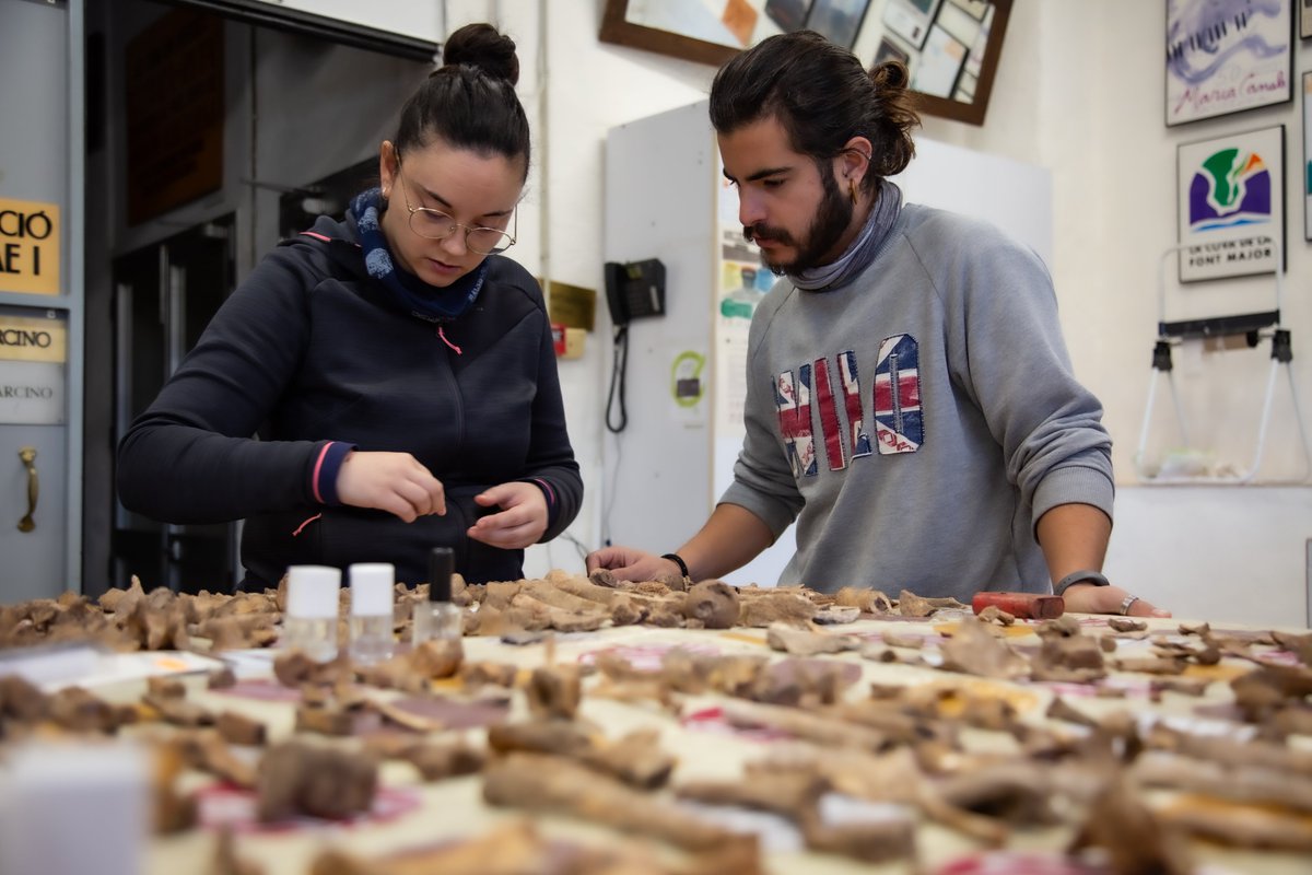 Museu_Terra's tweet photo. ⛏️ Aquestes setmanes, un equip de l'@iphes ha utilitzat les instal·lacions del Museu per poder realitzar les tasques de neteja, d'inventariat i documentació de les restes trobades durant la nova campanya d'excavacions al jaciment de la Cova dels Xaragalls, ubicada a Vimbodí i Poblet🦴.

👀 L'objectiu principal d'aquesta campanya és aprofundir en el coneixement dels grups humans que van ocupar aquest territori fa més de 3.000 anys 👣.

+info de la campanya👇
https://t.co/oFq7QPUChA