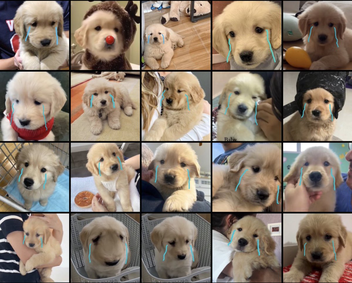 นอยอ่า นอยอ่า นอยอ่าาาา นอยอ่า (เอคโค่)