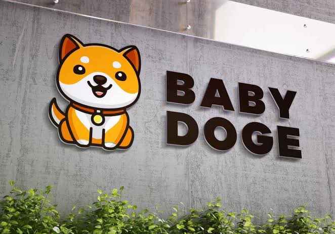 CryptoMavenn9's tweet photo. "Amidst the calm, a playful breeze whispers of a rising storm. 

Brace yourselves, #BabyDogeCoin is about to shake the crypto world! ⚡️🚀 #SilenceBeforeStorm #BabyDoge" https://t.co/TlQaqYF3Js