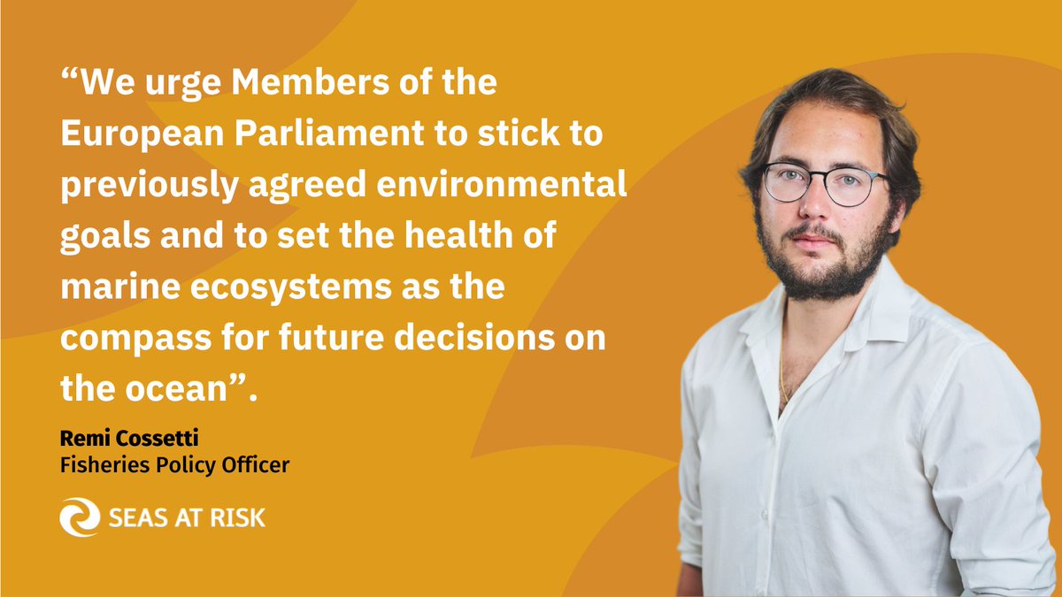 Seas At Risk (@seasatrisk) on Twitter photo 📢Warning to EU 🇪🇺MEPs:
The current <a href="/Europarl_EN/">European Parliament</a>'s report on the EU #MarineActionPlan - prepared by <a href="/EP_Fisheries/">PECH Committee Press</a> -
☠️🐟supports destructive fishing &
🐠🌱undermines the EP's position on #EUbiodiversity!
To be improved🚀or rejected👎!
👉seas-at-risk.org/press-releases… #BanBottomTrawling 📢Warning to EU 🇪🇺MEPs:
The current <a href="/Europarl_EN/">European Parliament</a>'s report on the EU #MarineActionPlan - prepared by <a href="/EP_Fisheries/">PECH Committee Press</a> -
☠️🐟supports destructive fishing &
🐠🌱undermines the EP's position on #EUbiodiversity!
To be improved🚀or rejected👎!
👉seas-at-risk.org/press-releases… #BanBottomTrawling
