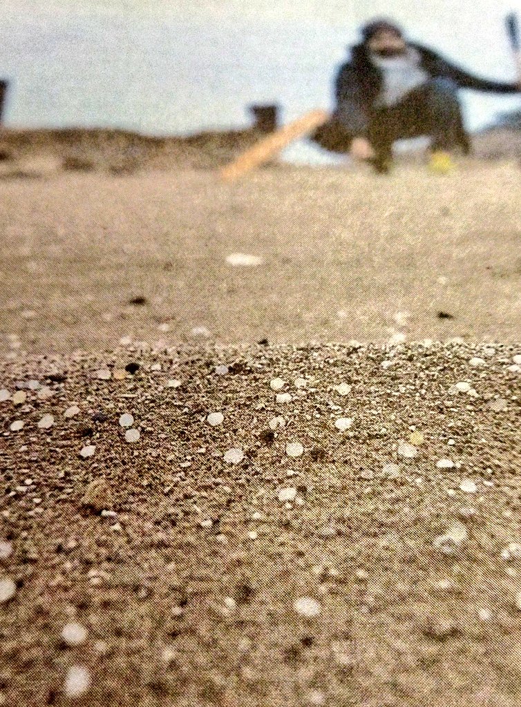 L'abocament de plàstic a la costa de Galícia, Astúries i Cantabria posa sobre la taula el problema de contaminació crònica a les platges de #Catalunya. Els #pélets abocats directament al mar o que arriben pels rius i rieres i que generen una marea constant de residus plàstics.