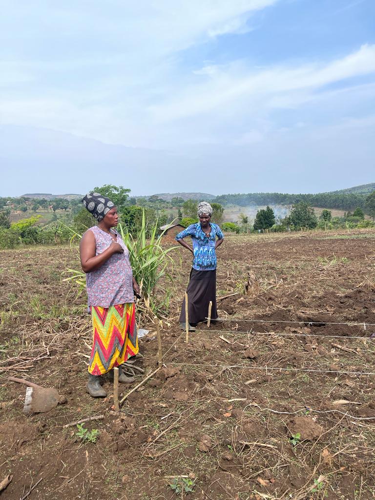 fca_uganda's tweet photo. Massive thanks to @NaistenPankki (Women's Bank - Finland) for their invaluable funding! 

🙏Your unwavering support is empowering women in Mityana district, fueling positive change and fostering improved livelihoods. #Right2Livelihood https://t.co/XnWwaYm7es