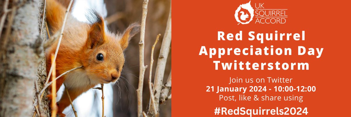 Join us on 21 #January 2024 for our annual #RedSquirrelAppreciationDay two-hour #Twitterstorm. Post, like & share using the unique hashtag shown in the image to boost awareness of our #redsquirrels & their #conservation. See if we can get these iconic #animals trending. #wildlife