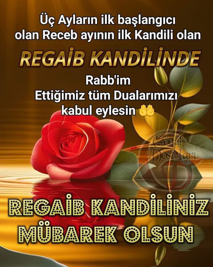 Melahat Akyol (@melahatakyol) on Twitter photo 