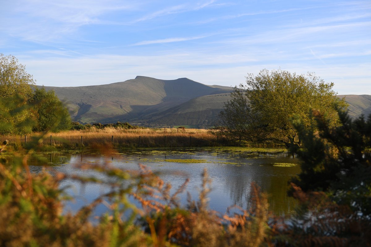 🔎 What is an SSSI? Sites of Special Scientific Interest (SSSI) describe an area that is significant in science due to rare species of flora and fauna, important geology or physiological features.