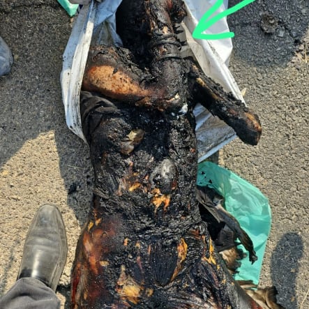 mrconfino's tweet photo. GRAPHIC WARNING: Where is the proof? To all those who have been asking for months to see the video and photo documentation of Hamas' slaughter of children, women and elderly (as well as soldiers) on October 7, here is a website with a compilation of proof for everyone to see. Needless to say, Hamas filmed most of this themselves, and anyone who bothered to look for it could've done so the past 3 months, like most journalists did. Here is the link as well as 4 photos with graphic warnings:
https://t.co/HToyxKK4HX
