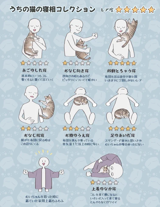 うちの猫が可愛いって話② うちの猫かわいいんスよ