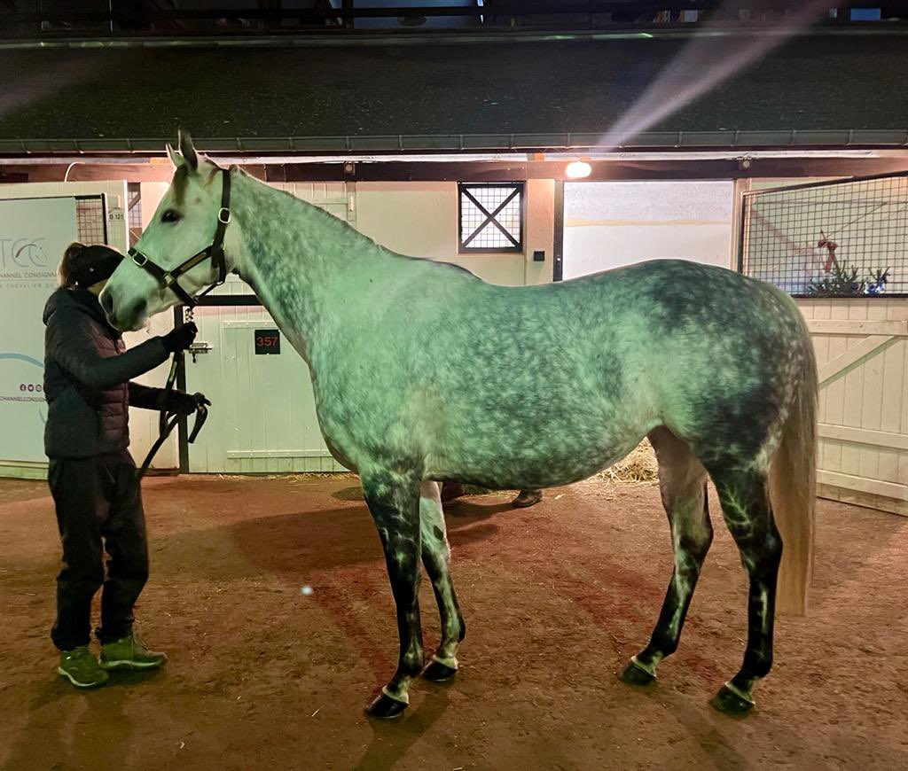 Alkaş Stud tweet media