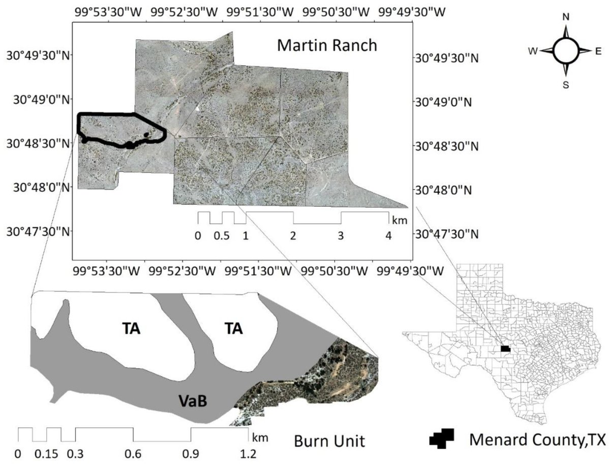 RemoteSens_MDPI's tweet photo. #LatestPaper
🔥 Exploring Effective Detection and Spatial Pattern of Prickly Pear Cactus (Opuntia Genus) from #Airborne Imagery before and after Prescribed #Fires in the Edwards Plateau
by Xavier A. Jaime, Jay P. Angerer et al

https://t.co/q1VHvmbsBh
#agriculture #vegetation https://t.co/5tmgtlbux5