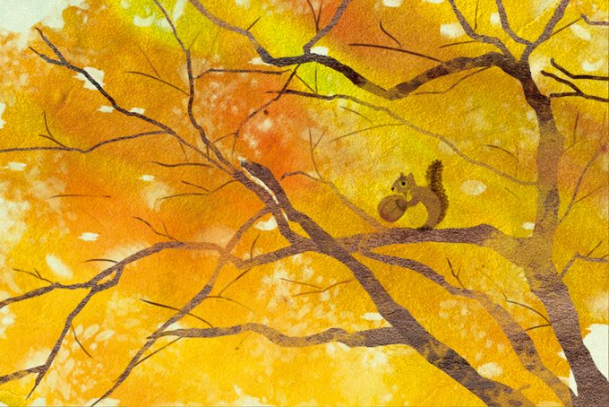 「autumn leaves no humans」 illustration images(Latest)