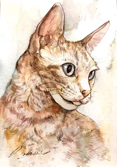 透明水彩で描いた猫 #watercolor