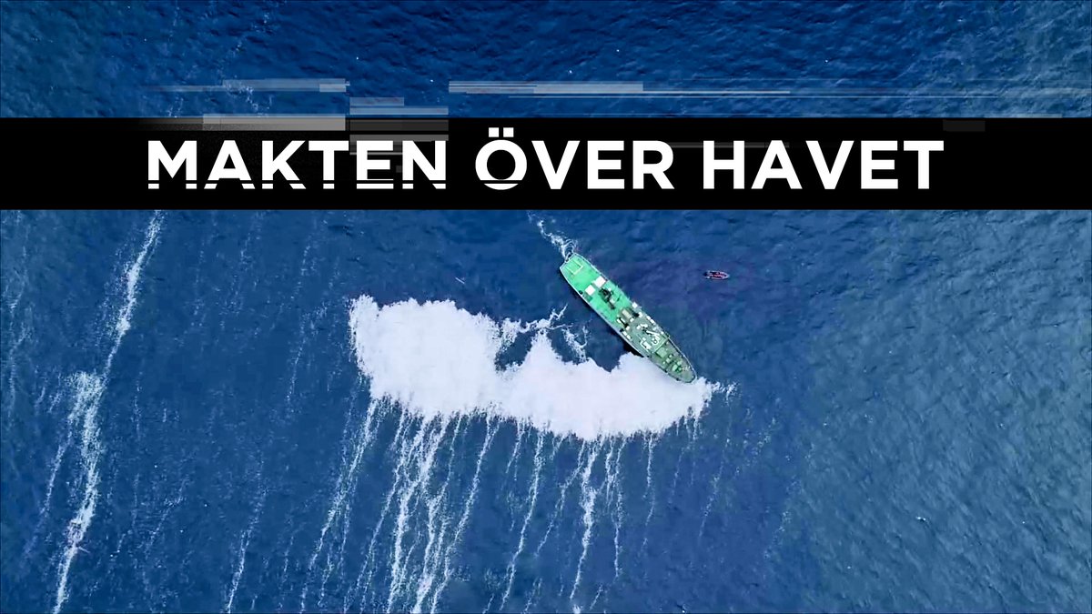 svtdokumentar's tweet photo. Torskbeståndet i Östersjön har kollapsat och i EU:s del av Medelhavet är nästan alla arter överfiskade. Streama Makten över havet på SVT Play https://t.co/2cKSCW1Kfy #svtdok #svtplay #dokut https://t.co/rlPTz1ykM9