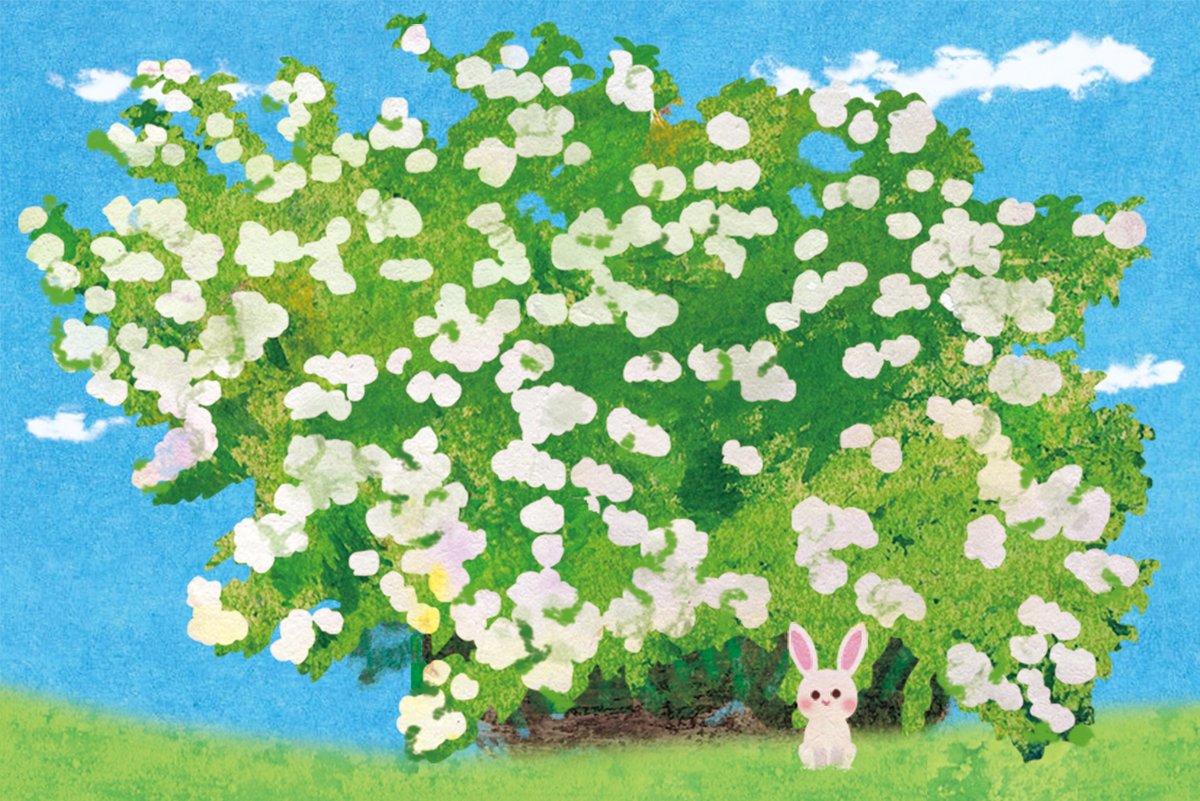「1月11日はイラストレーションの日!  #イラストレーションの日2024」|天野勢津子＠新刊「防災・被災ハンドブック」発売中！のイラスト
