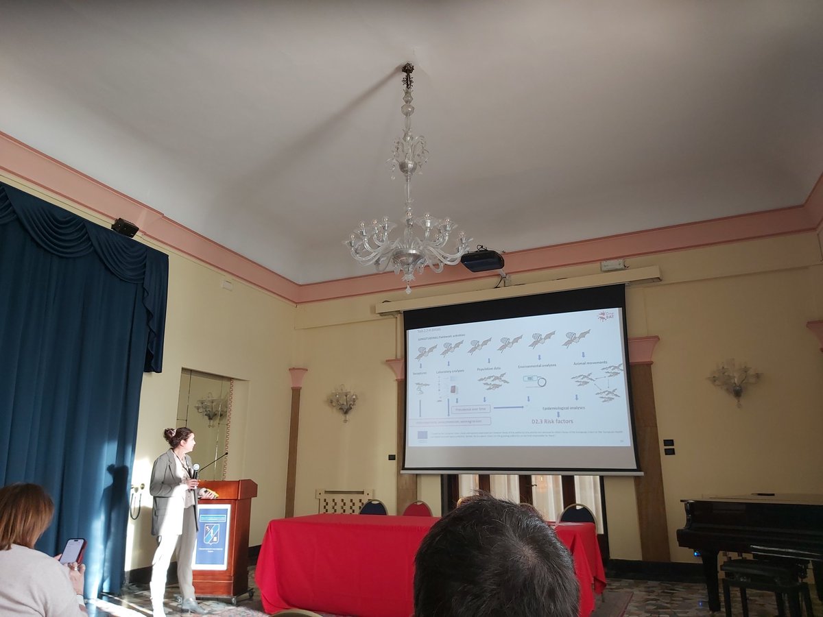 ViralPseudotype's tweet photo. Day 2 of the @HorizonEU #OneBAT kick-off meeting, focusing on ecology. Complex and fascinating 🦇 https://t.co/pJIMNU4V4e