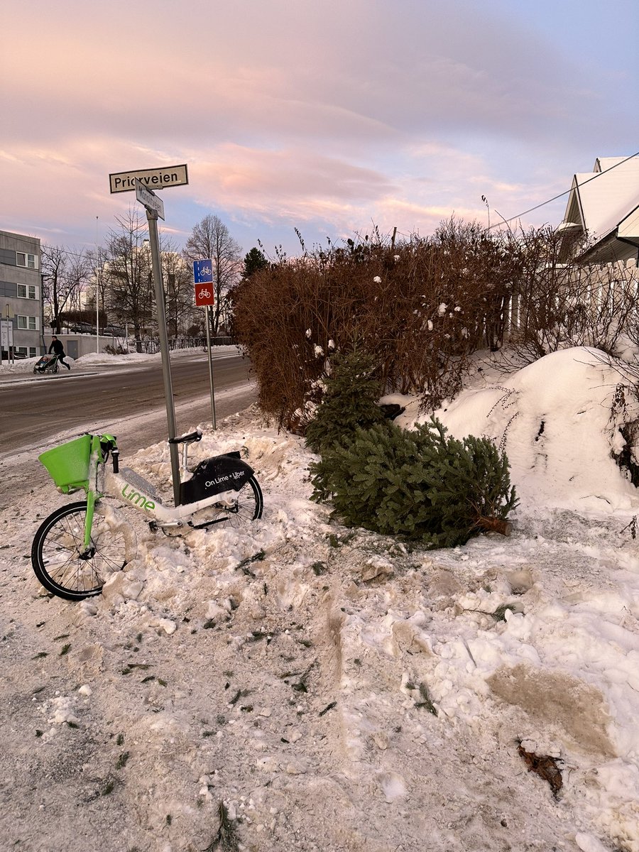 eriker's tweet photo. Idioter er det overalt, også blant juletrækastere. Skulle gjerne juletrekastrert dem hele gjengen. «Jøss, alle juletrærne er hentet allerede jo! Da legger jeg det bare fra meg her så hentes det nok 10. januar 2025» 
@Bymiljoetaten https://t.co/gStYWdsVax https://t.co/VVsAQBu5UP