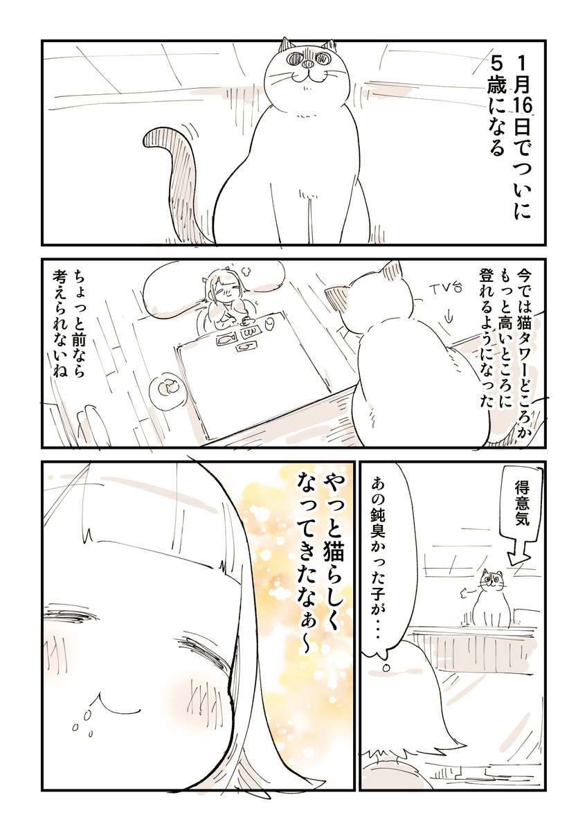 猫らしくない猫がやっと猫になったと思ったのにっていう話 1/2  動くと殺される漫画はこちら 