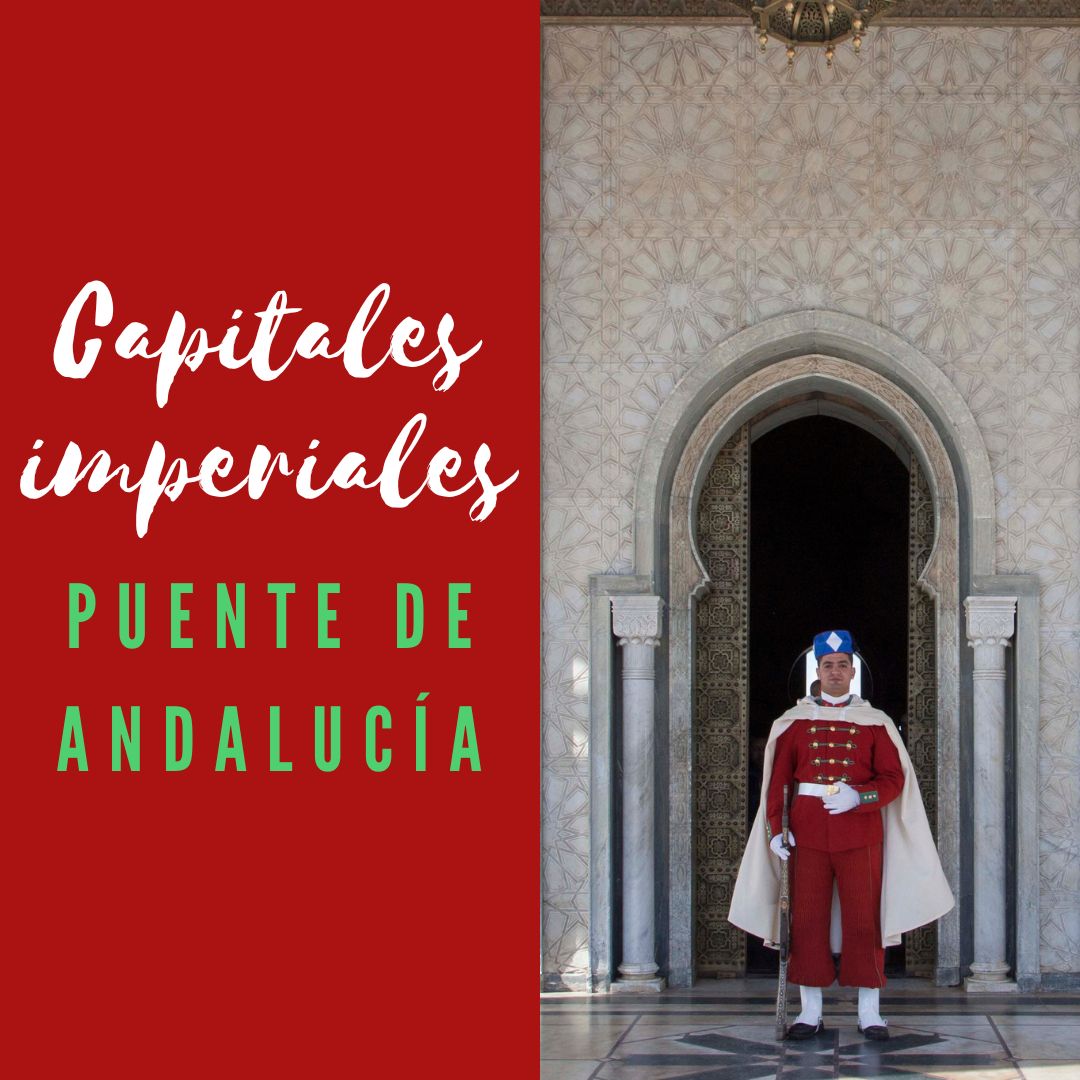 DescMarruecos's tweet photo. Viaja en el puente de Andalucía a las principales ciudades imperiales de Marruecos. Reserva ya, no pierdas esta oportunidad!
https://t.co/yO4KR6lPdb https://t.co/uTPqpVj879