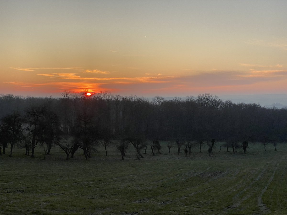 LaurianeButtner's tweet photo. 🌅 Lever de soleil dans notre jolie campagne du @Departement89 sous un froid sec @meteo_89 🥶 https://t.co/vEH8CTdJiG