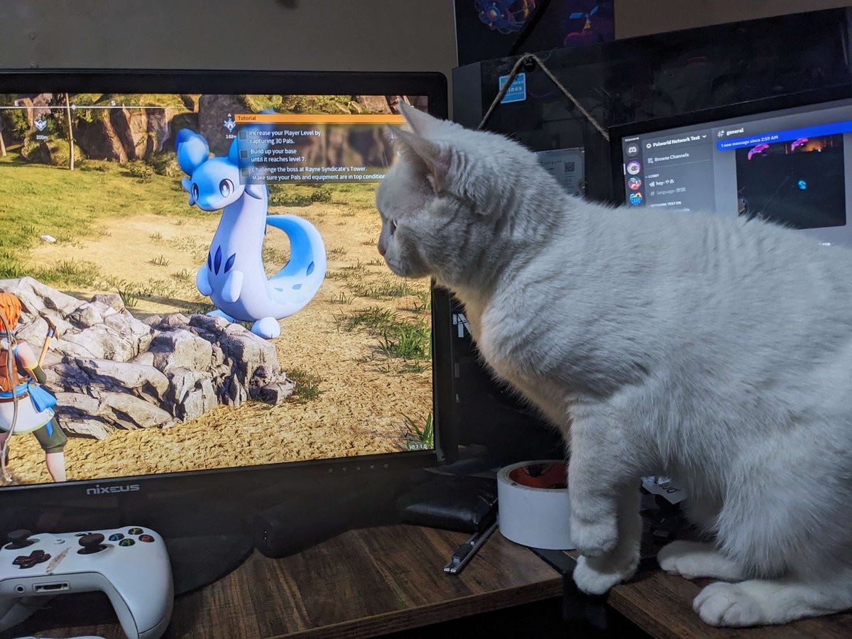 Palworld tweet media