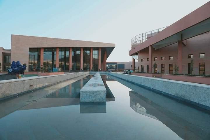 senework nigussie tweet media