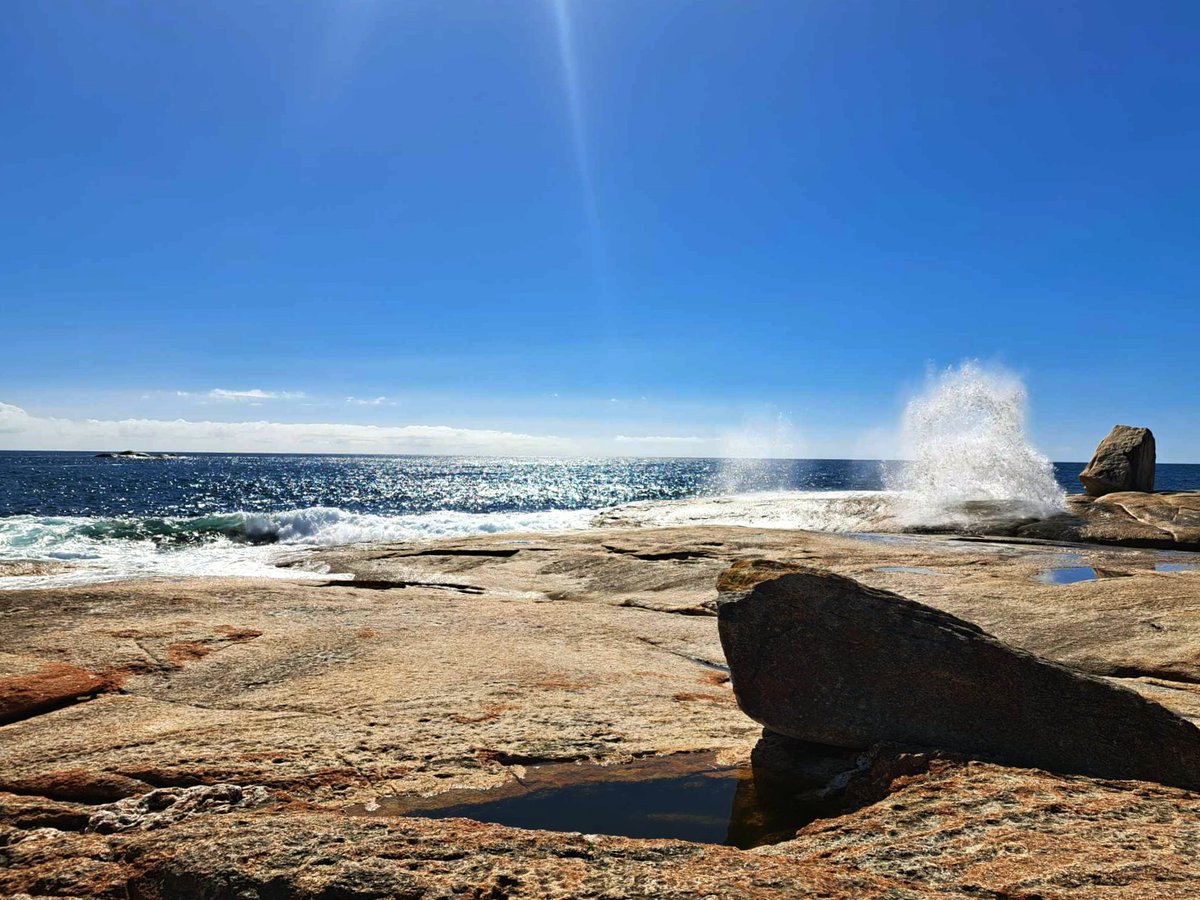 TasScenery's tweet photo. The Bicheno blowhole in action.
Credit LM
#blowhole #Bicheno #Coast #rocks #ocean #water #tasmania #tasmanianscenery https://t.co/Me2GdUOtUH