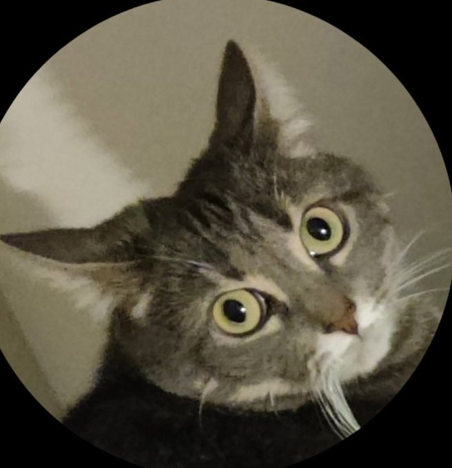 "soumis" : Bonjour Madame je ne peux pas payer mais je peux vous offrir mon corps et ma d&eacute;votion, je<a href="/tag/findom"class="tags"><span>#findom</span></a><a href="/tag/paypig"class="tags"><span>#paypig</span></a><a href="/tag/moneyslave"class="tags"><span>#moneyslave</span></a>