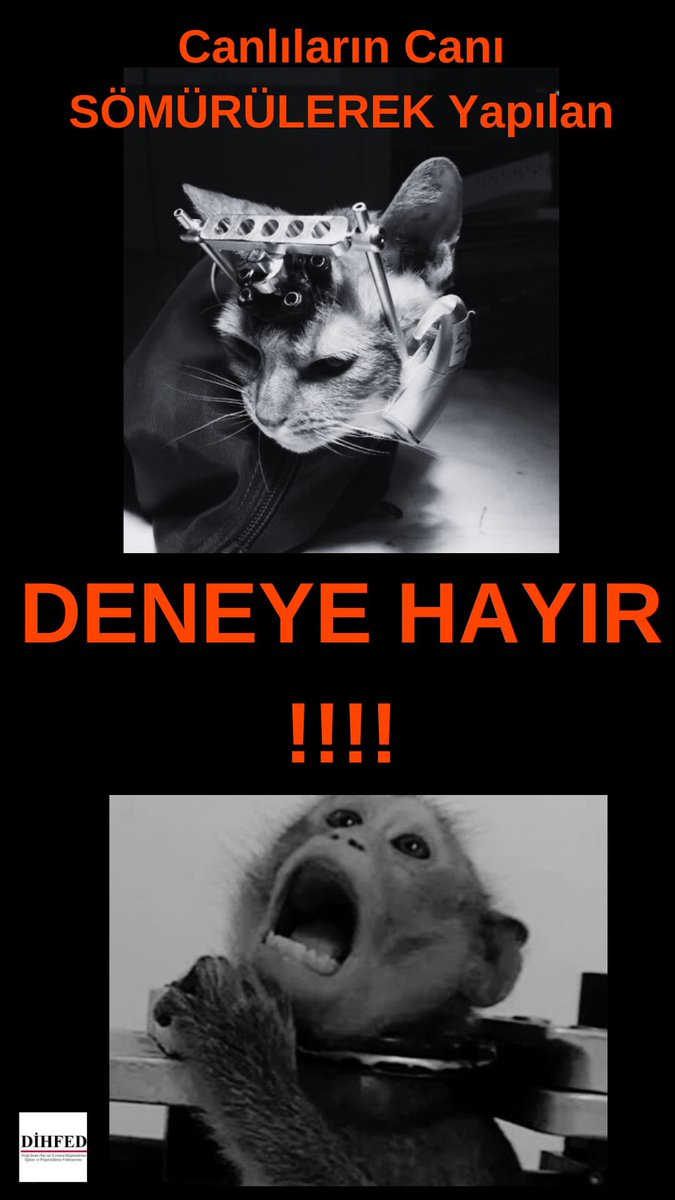 haydarozkan06's tweet photo. DENEY İŞKENCESİ ile hayvanlar SÖMÜRÜLEREK ÖLDÜRÜLÜYOR!

@TCTarim Bakanı Sn.@ibrahimyumakli 
Deney adı altında, ruhsatlı ya da ruhsatsız firmalarca hayvanlar acılar içinde katlediliyor!
Bu firmaları ve deney hayvanı kullanan işletme ve okulları KİM DENETLİYOR!

#DeneyeHayır 

@tcbestepe @RTErdogan @EmineErdogan @AliYerlikaya @DrVeyselTiryaki @bekirgizligider @TBMMresmi @VahitKirisci @kadircokcetin06 @milliparklar @DKMPAnkara