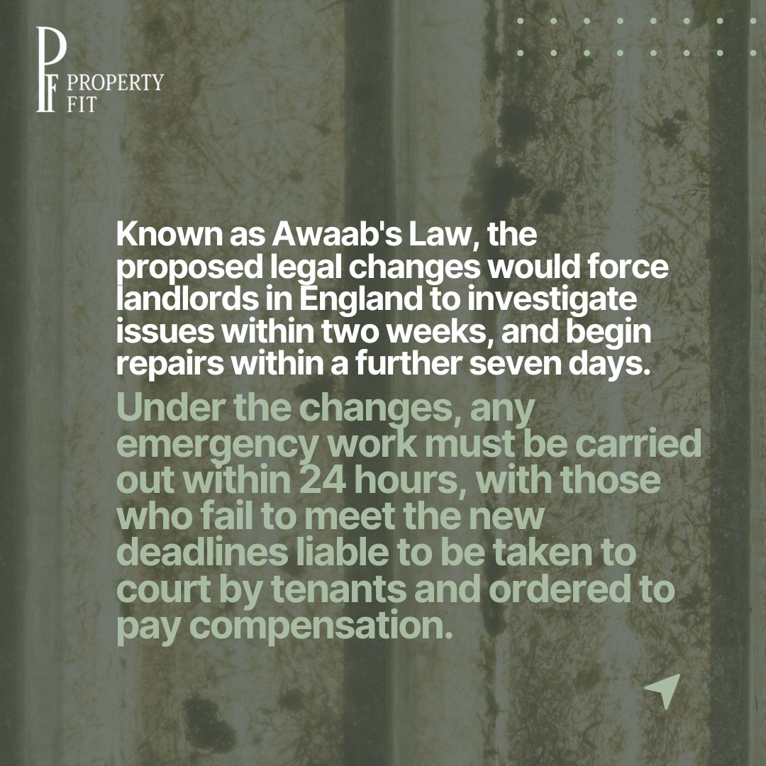 UKPropertyFit's tweet photo. A new proposed law will see rogue landlords forced to comply with new standard procedures surrounding mould in social housing, following the preventable death of a toddler in December 2020.

#news #propertynews #landlordnews https://t.co/skh3oqHYmu