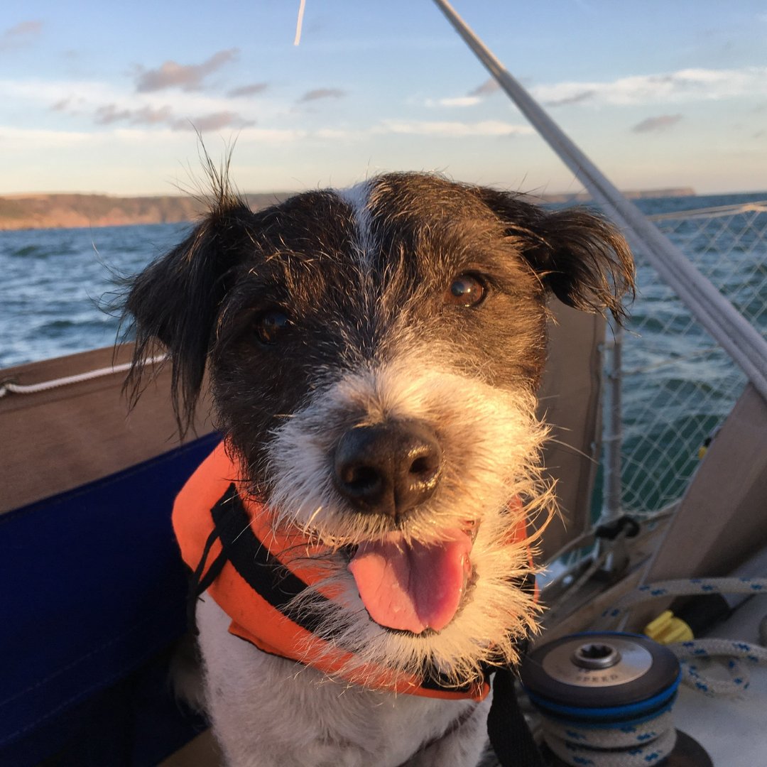 RNLI's tweet photo. Did you know you can add the name of a loved one to appear on the side of our lifeboat, including your pets 🐶

That’s what Delia and Chris did when they lost their beloved dog, Ozzy, to a brain tumour. https://t.co/bJjWV9YB9f